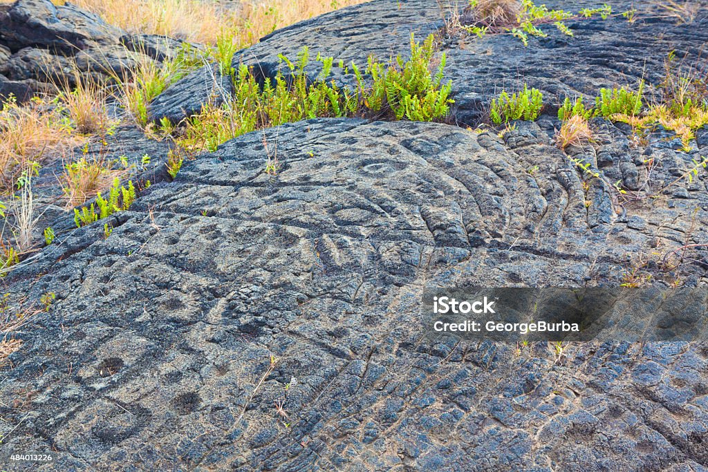 Ancient petroglyphs Ancient petroglyphs on lava along the trail in Hawaii Volcanoes National Park, Big Island Fossil Stock Photo