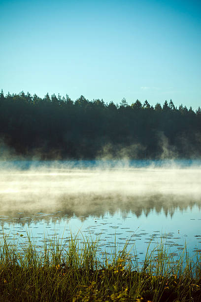 Sunrise on an early summer morning with mist in Stockholm archipelago, Värmdö municipality.