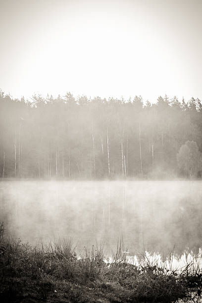 istock Morning fog over the lake 484014095