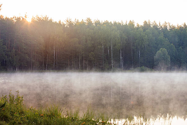 istock Mist of dawn over the forest lake 484014099