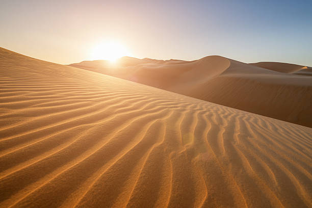 Sunset in the Desert United Arab Emirates Sunset in the desert landscape, illuminating the rippled sand dunes, United Arab Emirates.  sand dune stock pictures, royalty-free photos & images