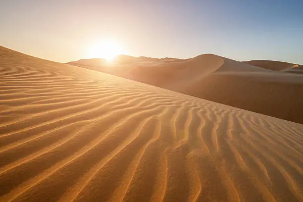 Sunset in the desert landscape, illuminating the rippled sand dunes, United Arab Emirates. 