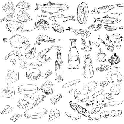 meat,fish and cheese,vector food set, ink drawing vector elements