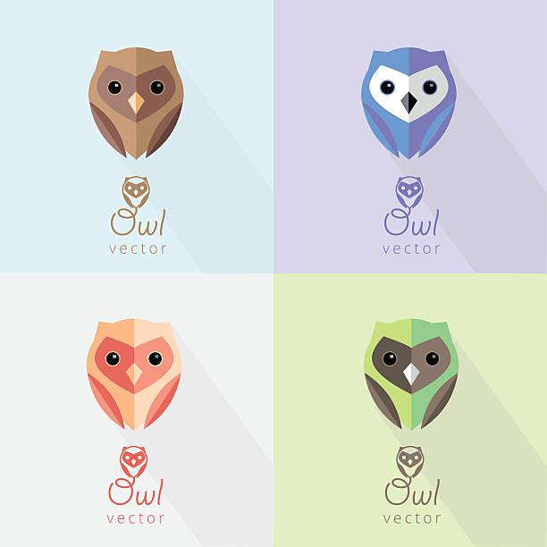 세트마다 색상화 평편 디자인식 추상적임 올빼미류 디자인 요소 표시 - text animal owl icon set stock illustrations