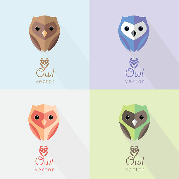 набор красочных абстрактных совы плоский дизайн элемент дизайна знаки - text animal owl icon set stock illustrations
