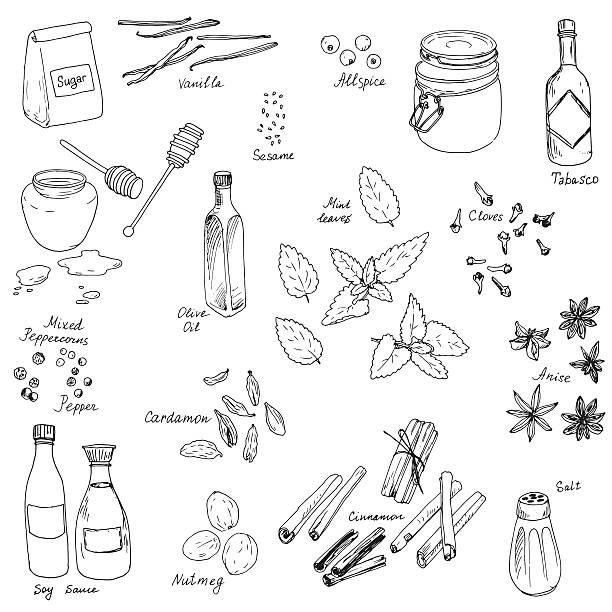 ilustrações, clipart, desenhos animados e ícones de conjunto de vetor de especiarias - food illustration and painting painted image mint