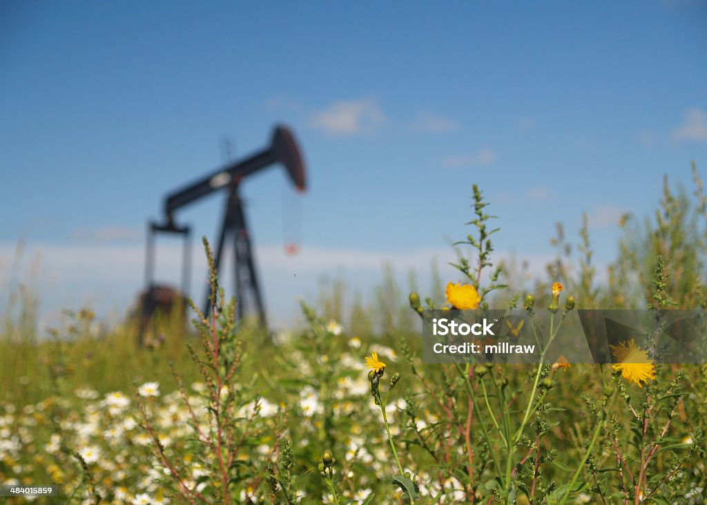 Dandelions avec puits de pétrole Pumpjack - Photo de Affaires Finance et Industrie libre de droits