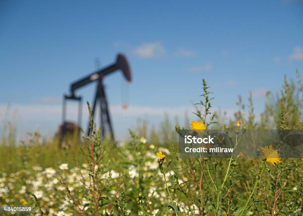 Pumpjack Dandelions Com Poço De Petróleo - Fotografias de stock e mais imagens de Alberta - Alberta, Amarelo, Ao Ar Livre
