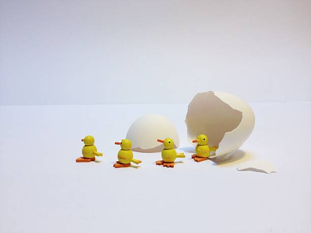 istock Chickens coming out of an egg 484016681