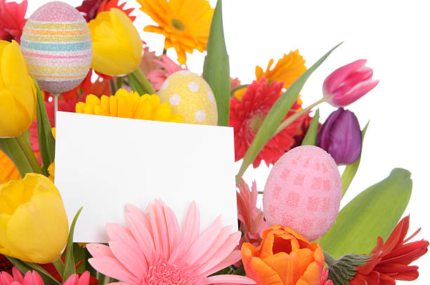 bouquet de páscoa (xxl - bouquet tulip greeting card gerbera daisy imagens e fotografias de stock