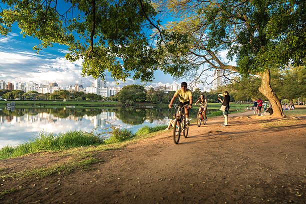 Beautiful day in Ibirapuera Park in Sao Paulo, Brazil Sao Paulo, Brazil - August 3, 2014: People enjoying a beautiful day in Ibirapuera Park in Sao Paulo, Brazil ibirapuera park stock pictures, royalty-free photos & images