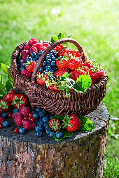 istock Ripe berry fruits in sunny day 484021878
