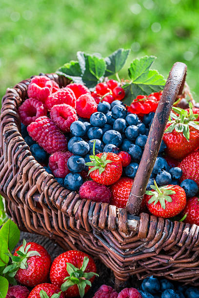 istock Healthy berry fruits in basket 484022650