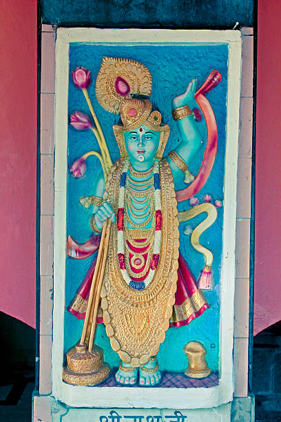 istock sculpture of Lord shreenathji 484025294