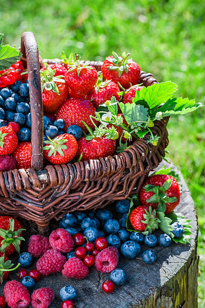istock Healthy berries in garden 484025408