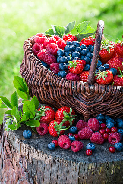 istock Various berry fruits in basket 484026484