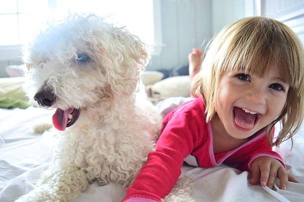 bambina e il suo cane - toddler child animal tongue human tongue foto e immagini stock