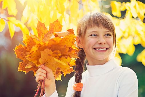 Portrait of a little girl collecting autumn leaves. The girl aged 8 is smiling, holding a bunch of autumn leaves. Sunny autumn day.