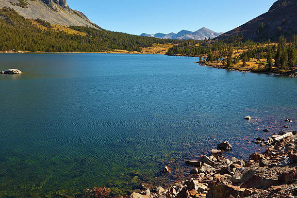 istock Wood and stones on coast of lake 484031663