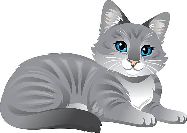 Cute Kitty Cat An adorable Kitty Cat hanging out. hair grey stock illustrations