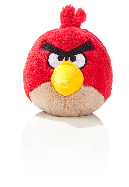 Red Angry Bird Stock Photo - Download Image Now - Anger, Animal, Bird -  iStock