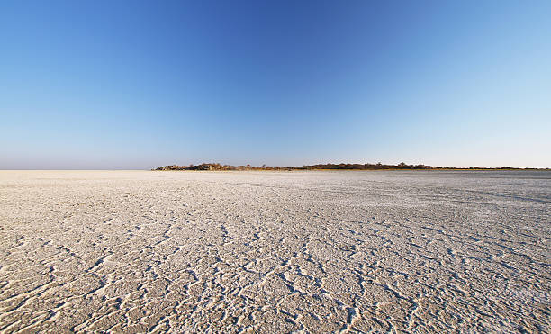 Salt lake around Kubu island in winter Salt lake around Kubu island in winter, Botswana salt flat stock pictures, royalty-free photos & images
