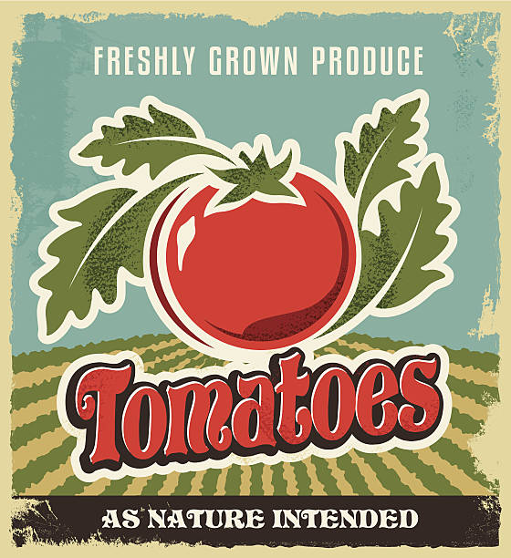 illustrations, cliparts, dessins animés et icônes de publicité tomate rétro vintage poster-caisse label - fruits et légumes