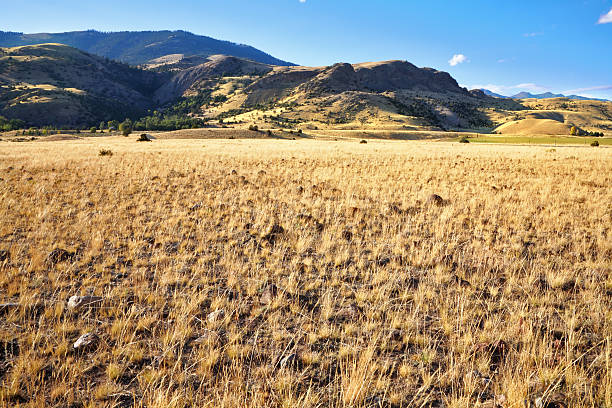 istock The American prairie in autumn day 484035123
