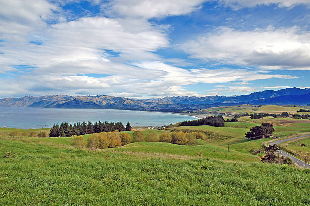 istock Kaikoura, New Zealand 484036139