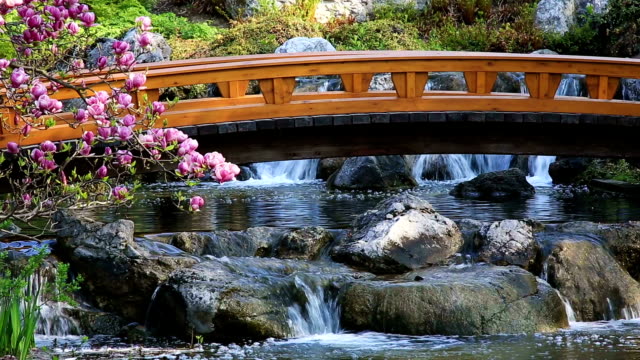 Japanese Garden with bridge and waterfall