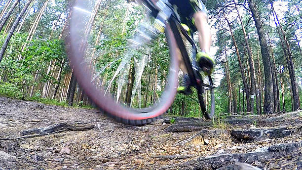 istock Mountain bike in action. Blurred motion. Forest. 484039234