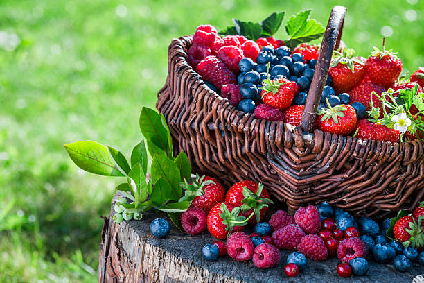 istock Fresh berry fruits in basket 484041220
