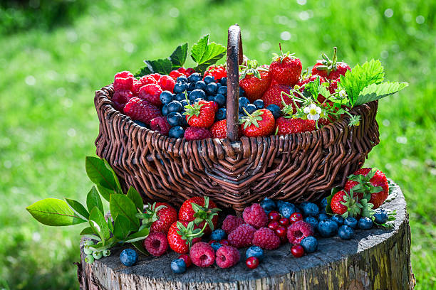 istock Fresh berry fruits in sunny day 484041224