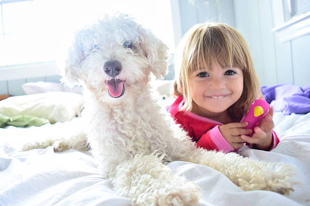 piccola ragazza e il cane di famiglia - toddler child animal tongue human tongue foto e immagini stock