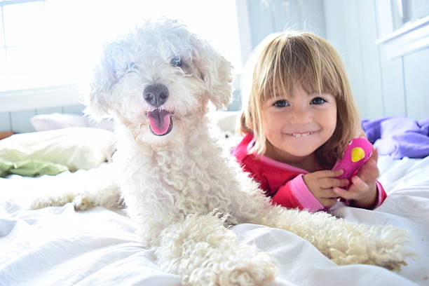 menina e o cão da família - toddler child animal tongue human tongue imagens e fotografias de stock