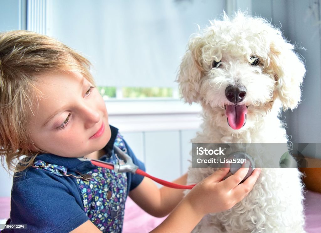 Checking the ticker Future veterinarian gives the dog a checkup Child Stock Photo