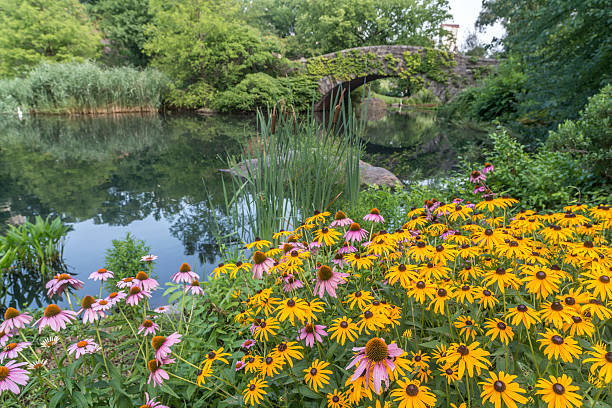 istock Gapstow bridge Central Park, New York City 484044274
