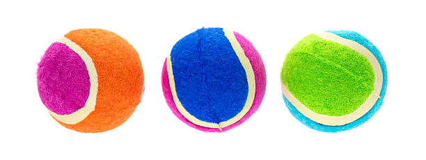 istock Group of small rubber and cloth fetch balls for dogs 484044866