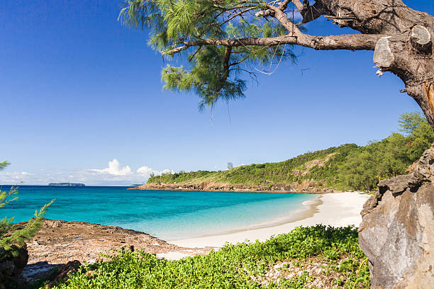 Tsarabanjina island The beach of Tsarabanjina island near Nosy Be, north of Madagascar madagascar beach photos stock pictures, royalty-free photos & images