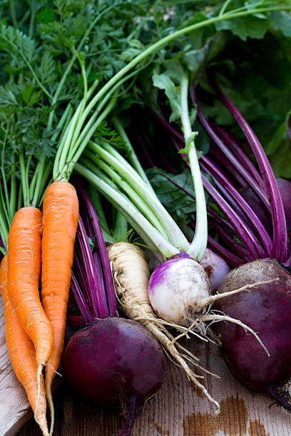 istock Bunch of fresh beetroots, carrots and turnips with green 484054522