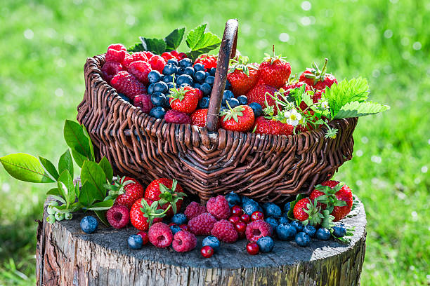 istock Fresh berry fruits in garden 484055782