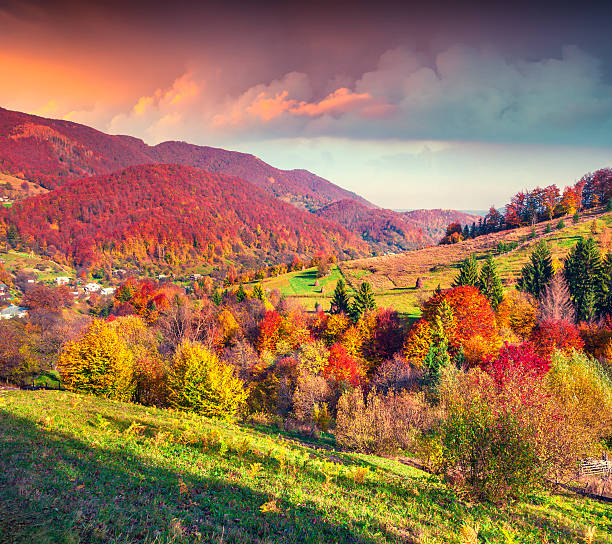 istock Fantastic colors autumn landscape in the Carpathian mountains 484055870