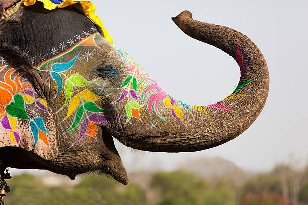 decoradas elephant. - cultura hindú fotos fotografías e imágenes de stock