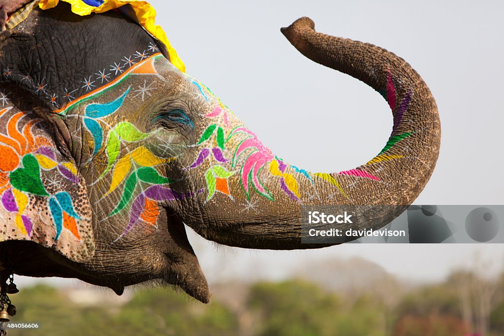Decorated elephant. Decorated elephant at the annual elephant festival in Jaipur, Rajasthan in India. India Stock Photo