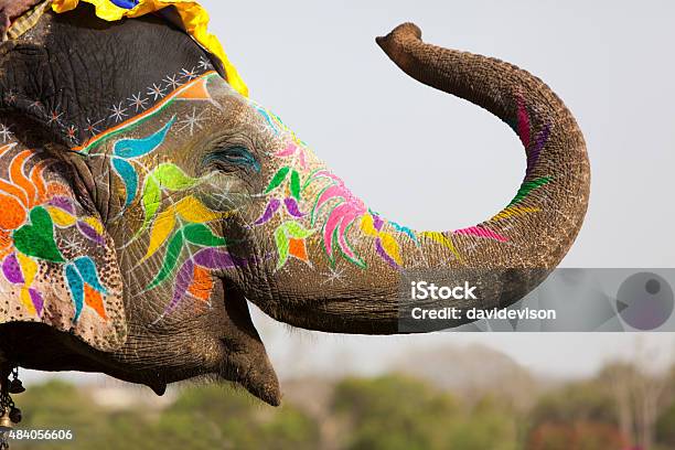 Decorated Elephant Stock Photo - Download Image Now - India, Elephant, Culture of India