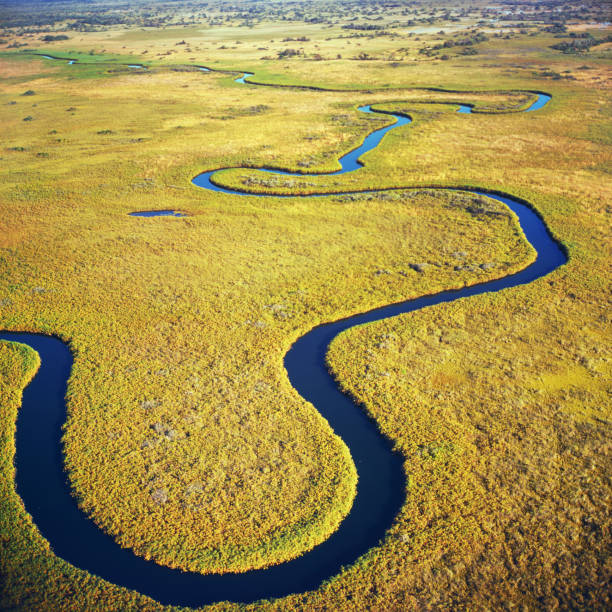 delta dell'okavango - delta dellokavango foto e immagini stock