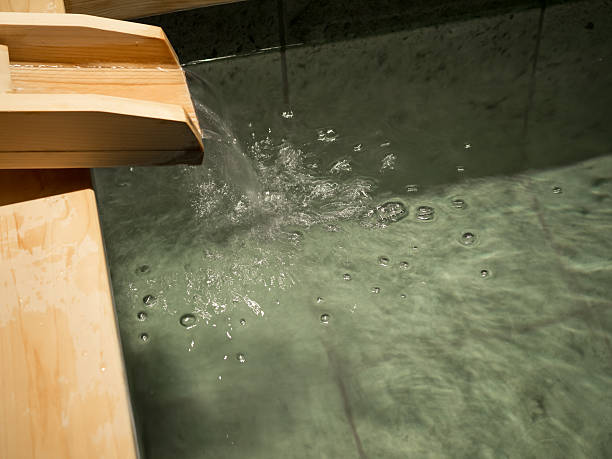 imagen del japonés de primavera - baños térmicos fotografías e imágenes de stock