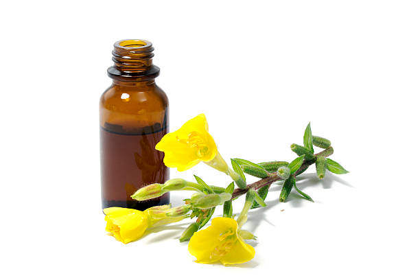 istock evening primrose oil, flowers and a bottle, isolated on white 484061780