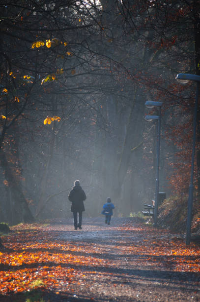 Road in the fog in autumn. Baby carriage with mother on the road at dusk