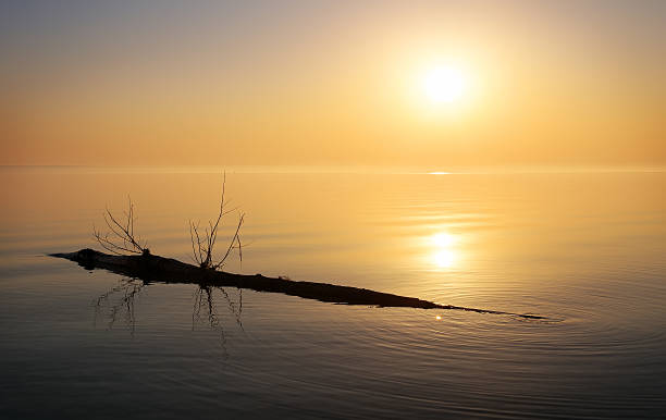 istock Beautiful ocean and snag. 484062994